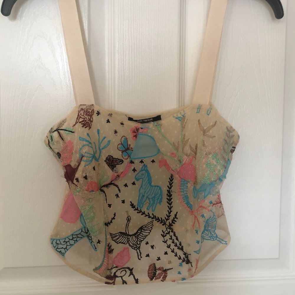 Zara Sheer Embroidered Top
